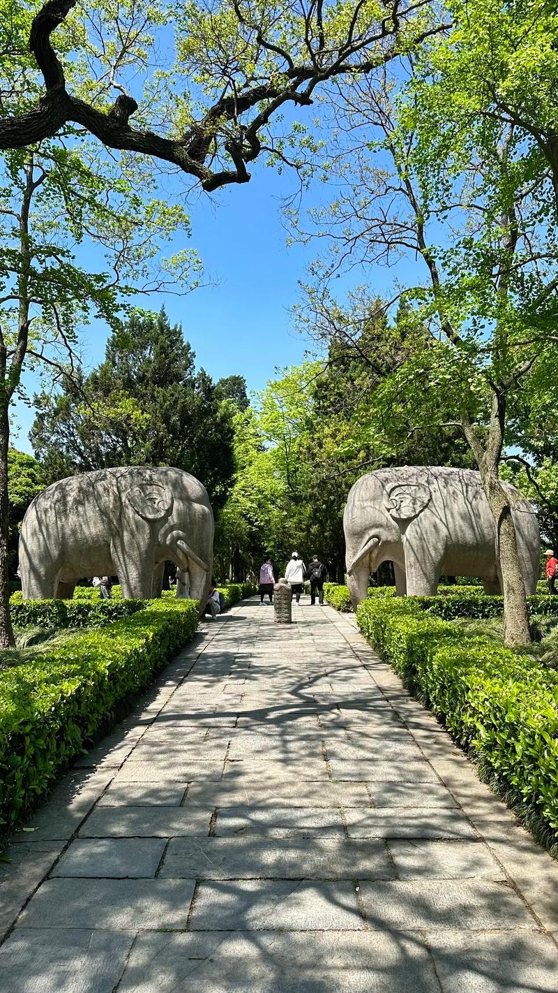 景区运营管理：打造独特的旅游体验